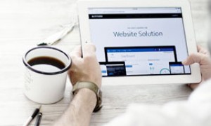 阿里将发布财报 彭博预测其增长将继续领跑全球科技股