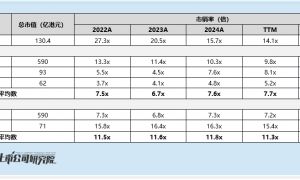 聚水潭启动全球发售：2024年盈利后2025年上半年再转亏 老股东高盛上市前浮盈50%离场 发行估值远超可比公司